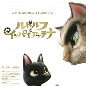 Bilder Rudolf, der schwarze Kater