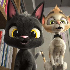 Bilder Rudolf, der schwarze Kater