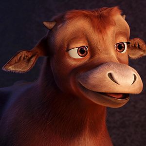 Bilder Bo und der Weihnachtsstern