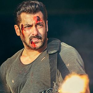 Bilder Tiger Zinda Hai