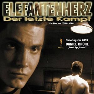 Bilder Elefantenherz