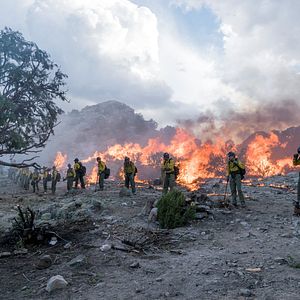 Bilder No Way Out - Gegen die Flammen