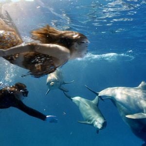 Bilder Für immer Meerjungfrau - Es gibt sie wirklich