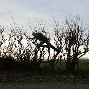 Bilder Leaning Into The Wind - Andy Goldsworthy