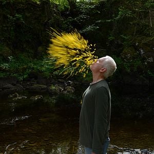 Bilder Andy Goldsworthy
