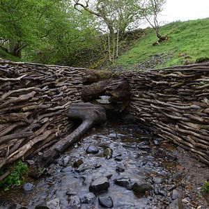 Bilder Leaning Into The Wind - Andy Goldsworthy