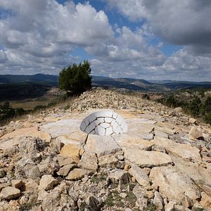 Bilder Leaning Into The Wind - Andy Goldsworthy
