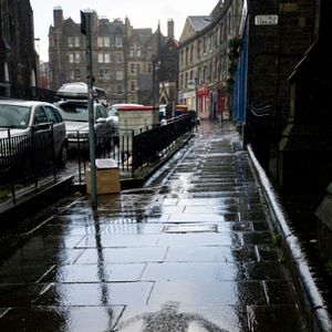 Bilder Leaning Into The Wind - Andy Goldsworthy