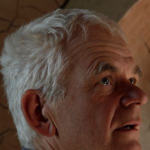 Bilder Andy Goldsworthy