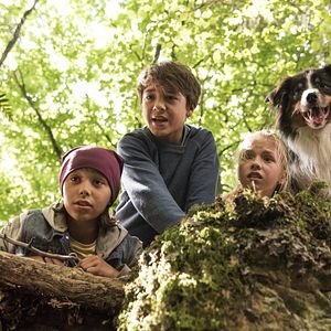 Bilder Ron Antony Renzenbrink