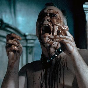 Bilder Bed of the Dead