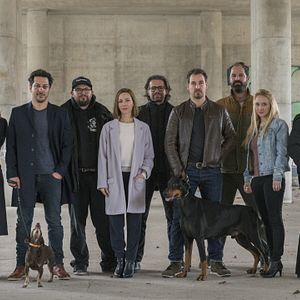 Bilder Dogs Of Berlin