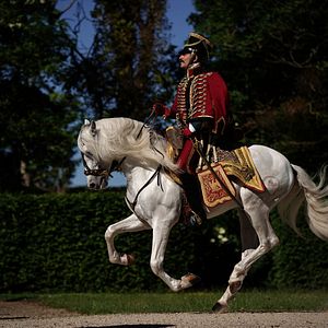 Bilder Die Rückkehr des Helden