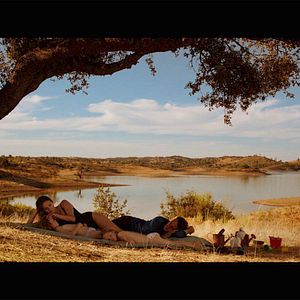 Bilder Soleil battant