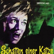 Bilder Schatten einer Katze