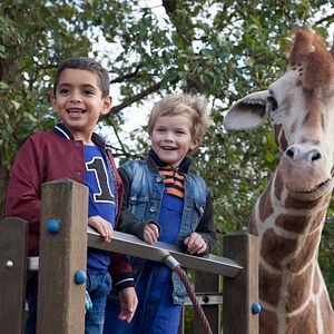 Bilder Rayan Belrhazi Alaoui