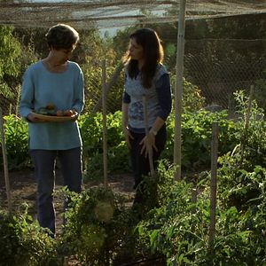 Bilder Mein Großvater Salvador Allende