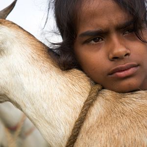 Bilder Village Rockstars