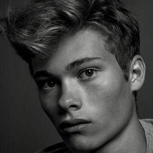 Bilder Jules Houplain