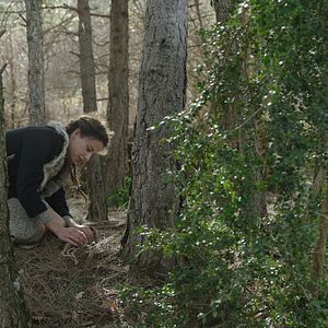 Bilder Irene Escolar