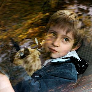 Bilder Finsteres Glück