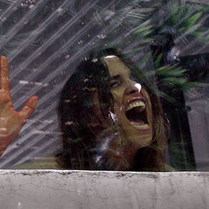 Bilder Juanita Ringeling