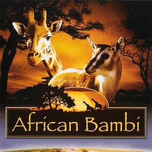 Bilder African Bambi