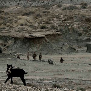 Bilder Rescue Under Fire