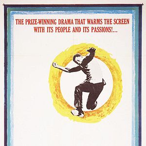 Bilder Ein Fleck in der Sonne