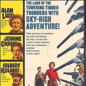 Bilder Er kam, sah und siegte