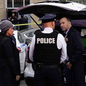 Bilder Marisa Ramirez