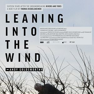 Bilder Leaning Into The Wind - Andy Goldsworthy