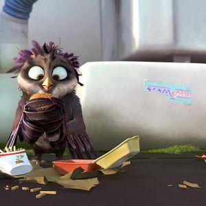 Bilder Überflieger - Kleine Vögel, großes Geklapper