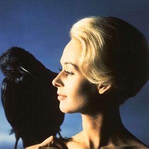 Bilder Tippi Hedren