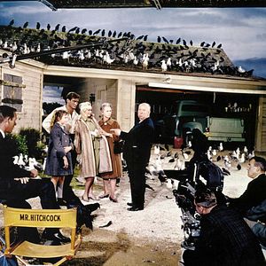 Bilder Alfred Hitchcock
