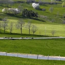 Bilder Un Village dans le vent