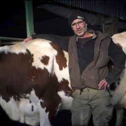 Bilder Un Village dans le vent