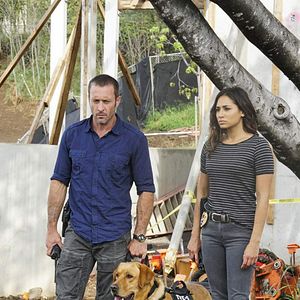 Bilder Hawaii Five-0