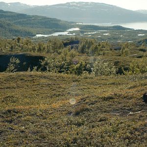 Bilder Das Mädchen aus dem Norden