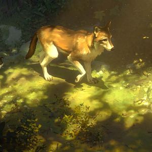 Bilder Die Abenteuer von Wolfsblut