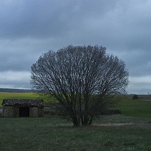 Bilder Con el viento