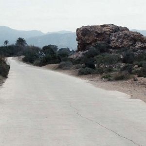 Bilder Mille autres raisons