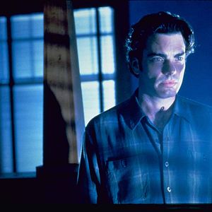 Bilder Peter Gallagher