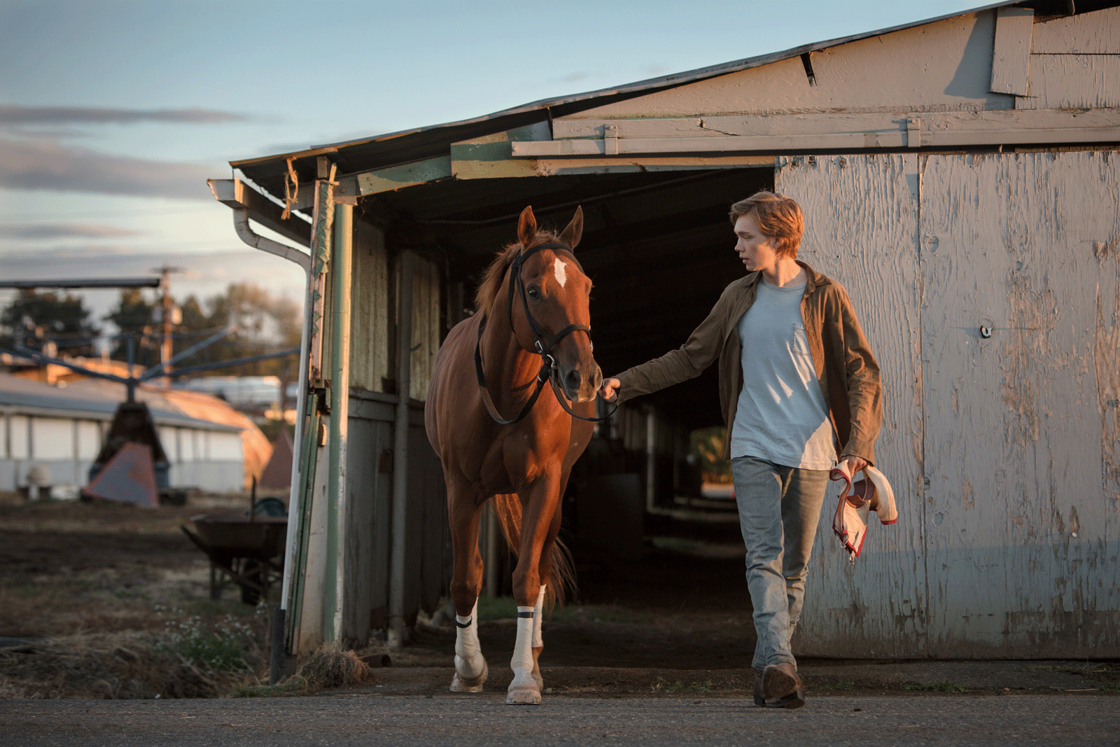 Bilder Lean On Pete