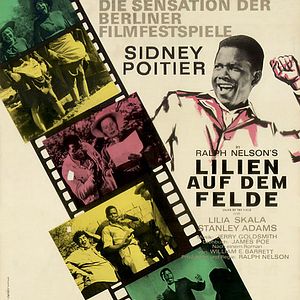 Bilder Lilien auf dem Felde