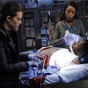 Bilder Torrey DeVitto