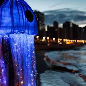 Bilder Ad Vitam - In alle Ewigkeit