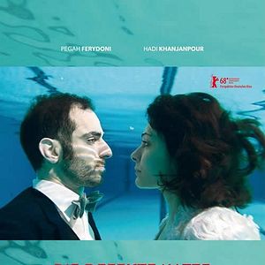 Bilder Die defekte Katze