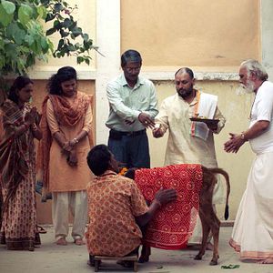 Bilder Geetanjali Kulkarni