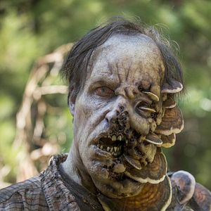 Bilder The Walking Dead